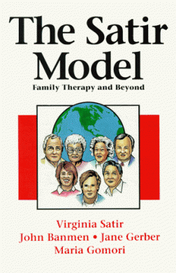The Satir Model book