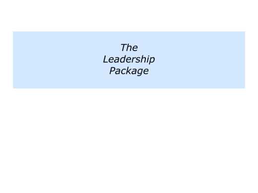 Slides Leadership Package.007