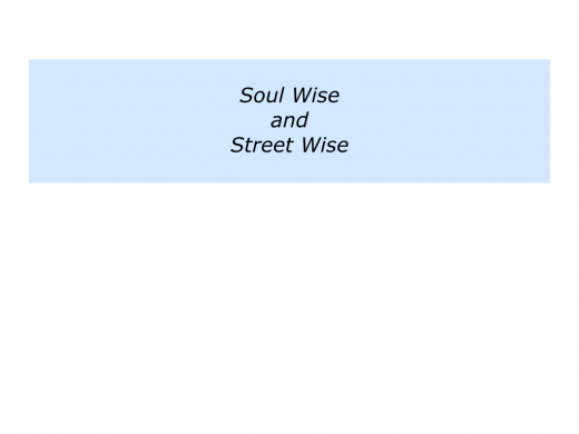 Slides Soul Wise and Street Wise.010