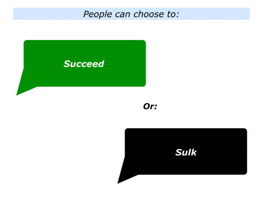 Slides Succeed or Sulk.001